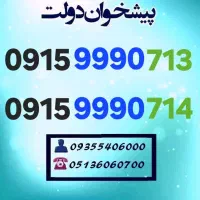 0915.9990.713 0915.9990.714