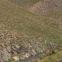 مسافر کرمانم