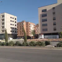 واحد-گل-نرگس