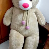 خرس شاسخین کاملا نو برای هدیه ولنتاین