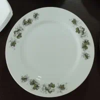 پلو خوری برگ انگوری قدیمی اصل ژاپن
