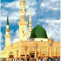 فروش دو عدد فیش حج عمره مفرده