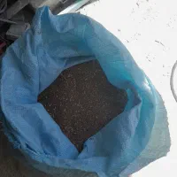 غذای کبوتر