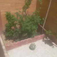 منزل-ویلایی