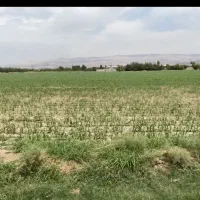 یک-هکتار-زمین-کشاورزی