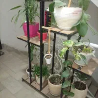 پایه گل و گلدان