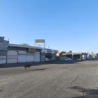 آیت-الله-سعیدی-جنوبی-مترو-آزادگان-فروش-مغازه