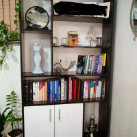 قفسه کتابخانه