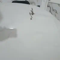 کاپوت ساینا و ی جفت فنر لول