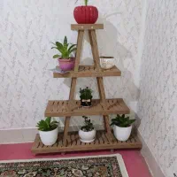 استند گل|گل و گیاه طبیعی|خزل, |دیوار