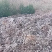 کود قارچ مناسب باغ