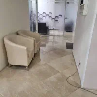 راننده مدیرعامل