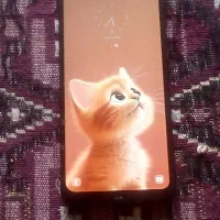 گوشی