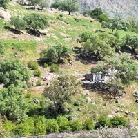 فروش-زمین-مسکونی