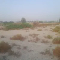 فروش زمین تجاری مسکنی