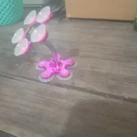 هولدر