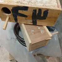 لانه پرنده