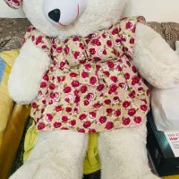 خرس بزرگ