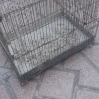قفس سهره