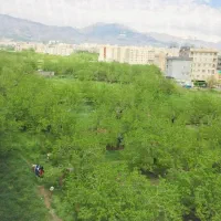 ۲۳۰ متر مستقلات ، ویلایی در شهرزیبا
