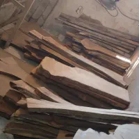 اسلب گردو