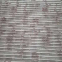 پرده زبرا
