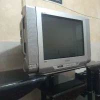 تلویزیون