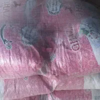 بار غزال رسید تعداد محدود