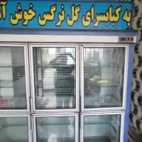 یخچال فروشگاهی و رستوران ۶ درب