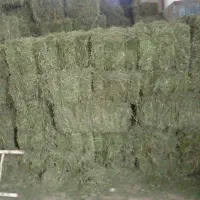 فروش یونجه خشک