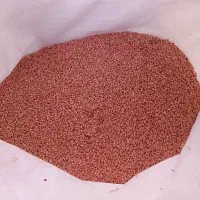 100کیلیو.بذرگندم پیشگام آبی شرکتی