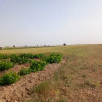 فروش زمین ملکی در شهرک سایپا رزن
