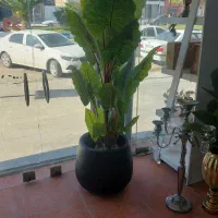 درختچه مصنوعی