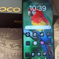Xiami. Poco X4 Pro5G|موبایل|تهران, جنت‌آباد شمالی|دیوار
