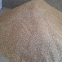 نخود گندم ‌‌دیم