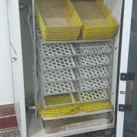دستگاه جوجه کشی هزارتایی