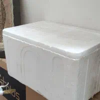 فیبریخ