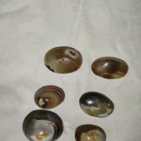 سلیمانی و سلطانی اصل