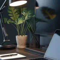همکار خانم با سابقه در کافی نت فقط صبح