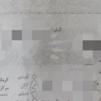 شناسنامه گمشده