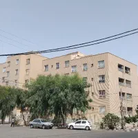 دهلاویه/ گل یاس