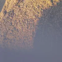 تفاله توت و خرما