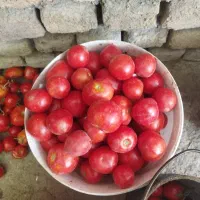 200الی 300 کیلو
