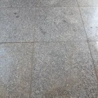 متقاضی کار در بخش منشی گری  و نگهبانی