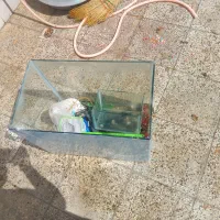 آکواریوم بزرگ باهمه وسایل ها یش