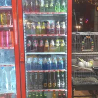 دو عدد یخچال ایستاده
