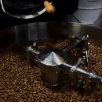 دانه قهوه رستری ، فروش عمده