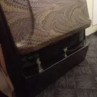 بخاری سالم