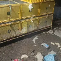 قفس پرنده