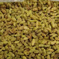 کشمش سبز تازه و شیرین امسال